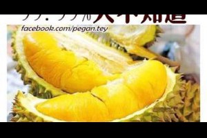愛吃榴蓮的朋友請註意 @ 樂觀而盡力、平靜無漣漪、關懷加信任、雲過風就來。 :: 隨意窩 Xuite日誌