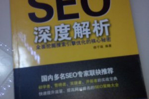 《SEO深度解析》读后感-卢松松博客