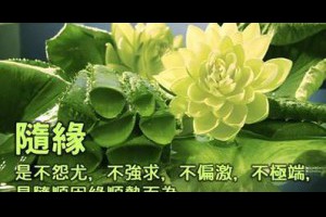 隨順因緣順勢而為 @ 樂觀而盡力、平靜無漣漪、關懷加信任、雲過風就來。 :: 隨意窩 Xuite日誌