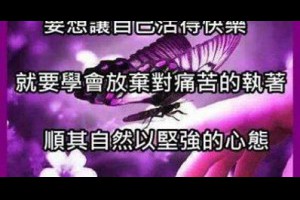 即時當下的快樂 @ 樂觀而盡力、平靜無漣漪、關懷加信任、雲過風就來。 :: 隨意窩 Xuite日誌