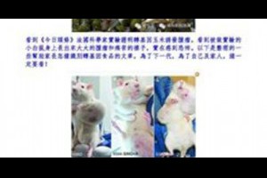 美國正式宣佈轉基因有毒 @ 樂觀而盡力、平靜無漣漪、關懷加信任、雲過風就來。 :: 隨意窩 Xuite日誌