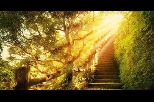 晨昏的陽光是最好的肝藥 @ 樂觀而盡力、平靜無漣漪、關懷加信任、雲過風就來。 :: 隨意窩 Xuite日誌