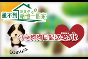 瓶中信的秘密(上)／ 妮可 @ 尿床 :: 痞客邦 PIXNET ::