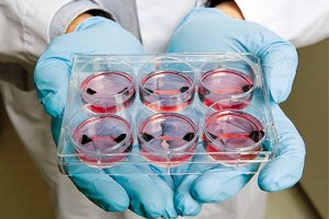 生活技.net: 實驗室培育人造肉或可普及滿足人們消費需求