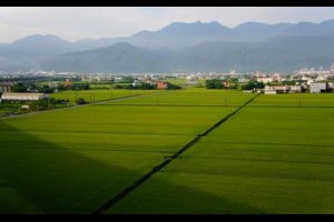 宜蘭版伯朗大道 - yam輕旅行