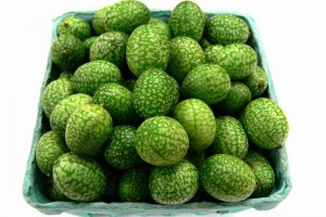 生活技.net: Pepquino - 世界上最小的西瓜
