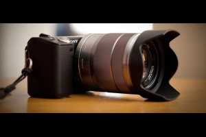 攝影技巧，花展拍攝經驗分享 - 拍攝教學!