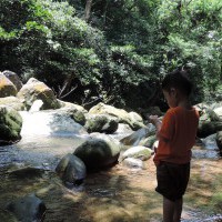 捷運。親子小旅行—夏日避暑勝地大溝溪