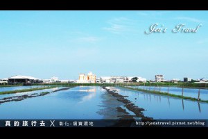 【彰化】福寶濕地生態園區 賞鳥勝地野鳥的天堂 拍攝婚紗漂流木 紅樹林生態 - yam輕旅行