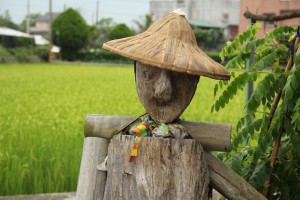 聆聽台東--金城武的後池上時代