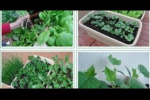 這招要學起來很管用 @ 樂觀而盡力、平靜無漣漪、關懷加信任、雲過風就來。 :: 隨意窩 Xuite日誌