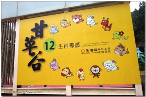 [南投]杉林溪森林遊樂區‧清涼避暑的好去處