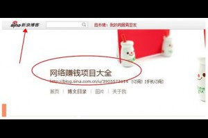 卢松松博客--关注中小创业者和站长的媒体博客