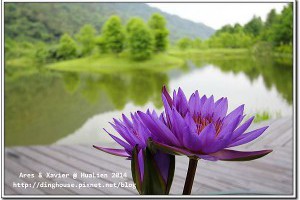 綠水幽林的人間仙境‧花蓮‧葛莉絲莊園