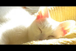 Home | Waknow我懂
