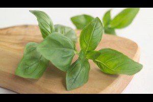 吃九層塔，有那麼多好處？ - 醫療養生部落格 - PChome 個人新聞台