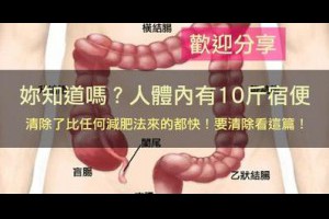 人體內有10斤宿便(重要)！ @ 樂觀而盡力、平靜無漣漪、關懷加信任、雲過風就來。 :: 隨意窩 Xuite日誌
