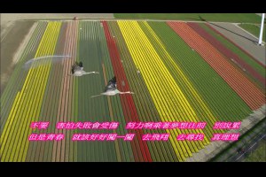 •*♡❤ (逆風飛翔 ~蕭煌奇) 好聽輕快 勵志歌曲 Tzu Chi Songs