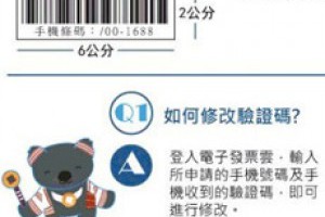 財政部電子發票整合服務平台