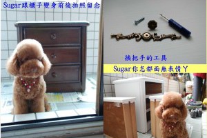 € 懶女人改造櫃子初體驗 @ 迷 ? 謎 ? 靡 漾 的 懶 女 人:: 痞客邦 PIXNET ::
