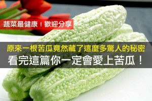 原來一根苦瓜竟然藏了這麼多驚人的秘密！看完這篇你一定會愛上苦瓜！蔬菜最健康！（歡迎分享） LIFE生活網
