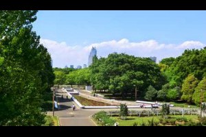 溫馨提示：東京代々木公園懷疑出現登革熱蚊！
