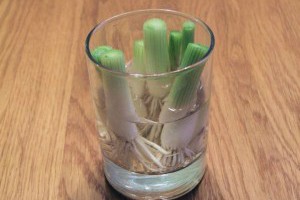 8種可以不斷再生、在家種植的蔬菜！

http:......
