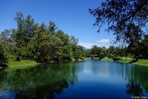 【台東】台東印象x鐵花村x台東森林公園x國際地標（海濱公園）