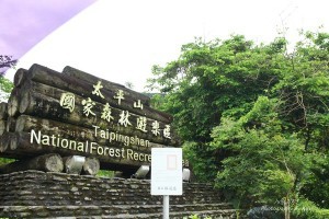 【宜蘭大同】陶然自醉盡情暢洋賞楓之太平山國家森林遊樂區 @ 晴挑＆味蕾行 :: 痞客邦 PIXNET ::