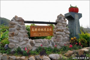 [苗栗 景點] 近城的楓紅。馬那邦山 @ sya(賽亞)的旅遊部落格 :: 隨意窩 Xuite日誌