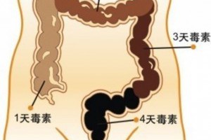 有效清理宿便！最健康的方法！ LIFE生活網