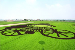 【雲林稻田彩繪】雲林莿桐彩繪稻田2014～巨型稻田藝術作品，下鄉賞遊趣！-Via's旅行札記
