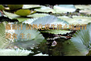1030718秋天蔬果汁養生保健