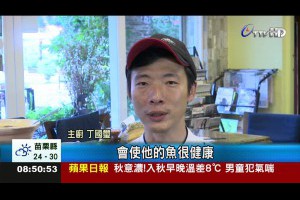 秋天微辣溫補 養生有機魚料理端上桌