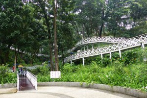 嘉義竹崎公園~ 天空走廊 @ 楊大哥攝影日誌 :: 隨意窩 Xuite日誌