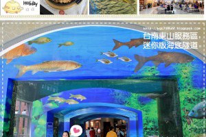 『台南』東山休息站水漾魚隧道，高速公路上的療癒賞魚趣。 - 小兔小安旅遊札記