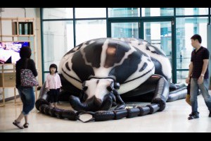 科教館: 「解開昆蟲密碼」特展 @ 貓の目