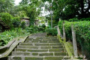 遠見雜誌 - 前進的動力：體驗日式感濃厚的普濟寺，彷彿穿越時空到了日本！