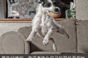 個人成長 - 高中畢業搬貨小弟 年薪400萬跳板學 - 今周刊