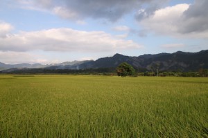 2014來趟秋日的台東小旅行-秋收。藝術。溫泉。美食。身心饗宴