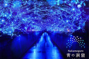中目黑區企劃「青の洞窟」