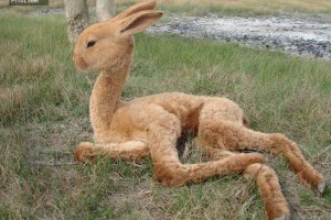 如果這些動物真的生下長這樣的寶寶，那也太可怕了吧！