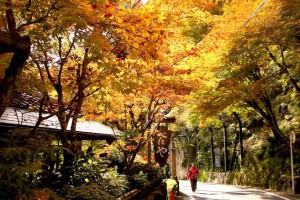 寂靜。京都。台東--洛北貴船。知本林道