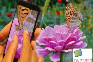 生活技.net: OmniVision 發布 2400萬像素CMOS