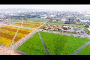 2014臺中國際花毯節完全攻略！大坑、新社、北屯私房美食大公開！ – WalkerLand 窩客島–天天提供超值、免費優惠美食最IN情報！