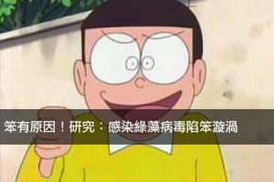 笨有原因！研究：感染綠藻病毒陷笨漩渦