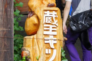 貓島你聽過，狐狸村你又去過未？