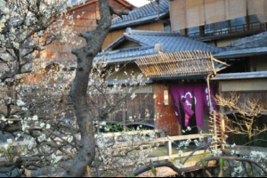 旅客眼中十大優秀旅館