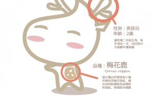 MAPPERCAFE店長大人[麥小路]身世之謎!!
