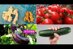 買菜怎麼挑？菜販不會告訴你的16個買菜小竅門，老媽也不一定知道！快收藏起來包你買到新鮮蔬菜！